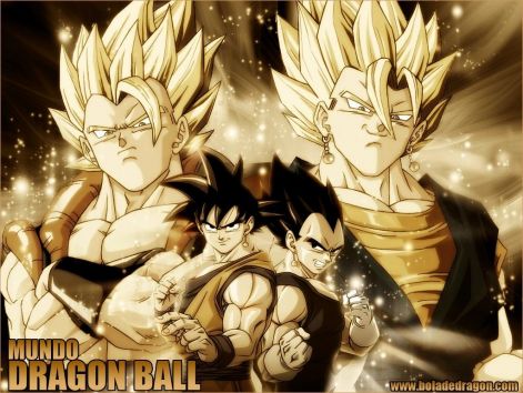 dragon_ball_z_songoku.jpg